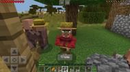 Farmer villager (Image via Reddit)